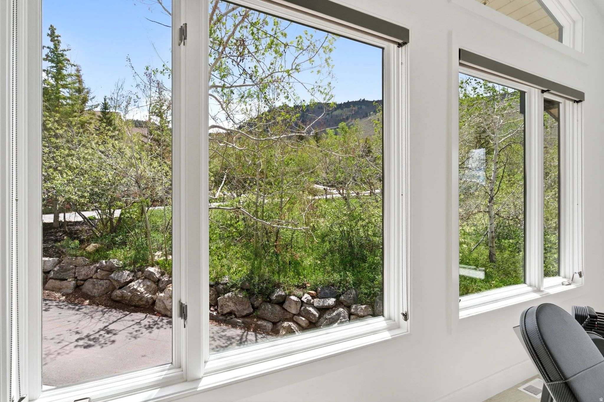 Multiple white-framed windows offering expansive outdoor scenery