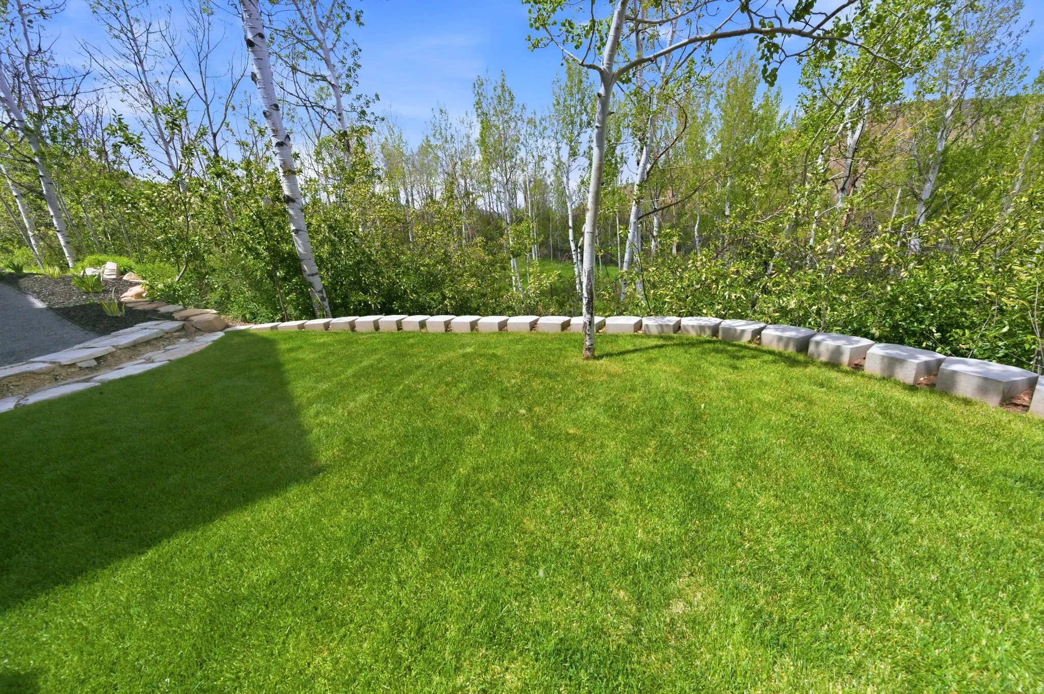 Manicured lawn with a curved paver retaining wall and natural stone steps