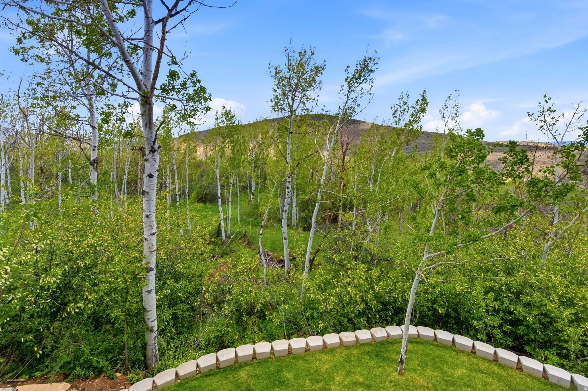 Expansive outdoor space featuring a lush green lawn, decorative paver edging, and a backdrop of numerous aspen trees