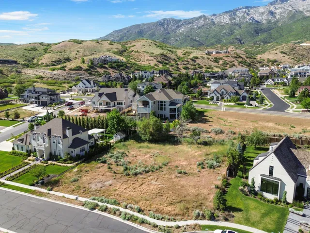 Expansive undeveloped lot presenting a building opportunity, surrounded by established residential properties