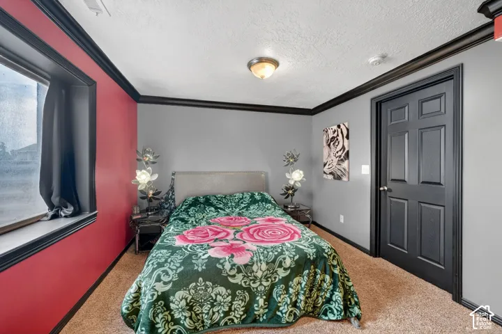 Carpeted room featuring a window with black trim, a paneled door, and ceiling-mounted lighting