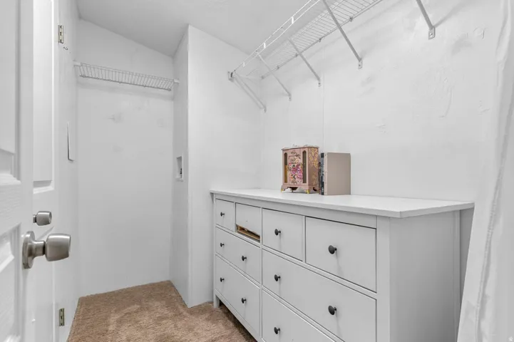 Functional utility area with wall-mounted wire shelving and plush carpet flooring