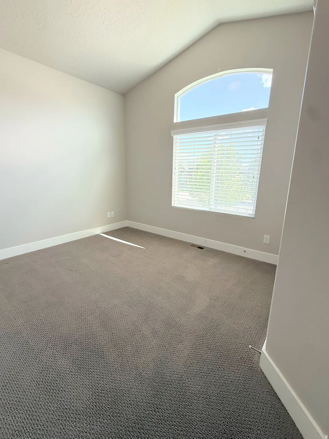 Bedroom #2 Vaulted ceiling room with a large arched window and additional rectangular window with blinds