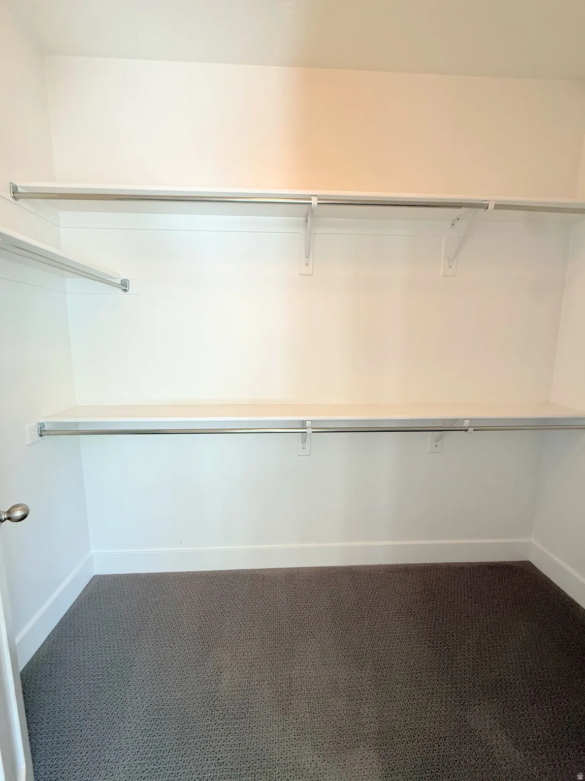 Primary walk-in closet featuring white walls, textured gray carpeting, and ample shelving with hanging rods