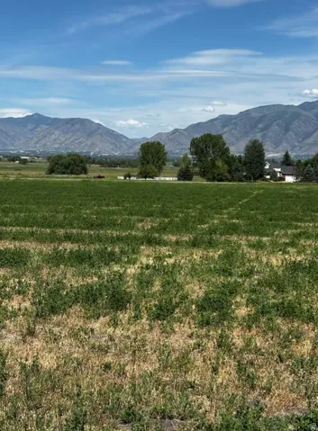 Expansive green fields with distant mountain backdrop, featuring scattered mature trees and a residential structure in the background