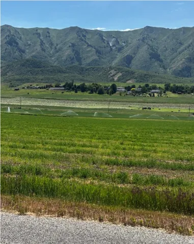 Expansive green fields with active irrigation systems, set against a backdrop of distant mountains