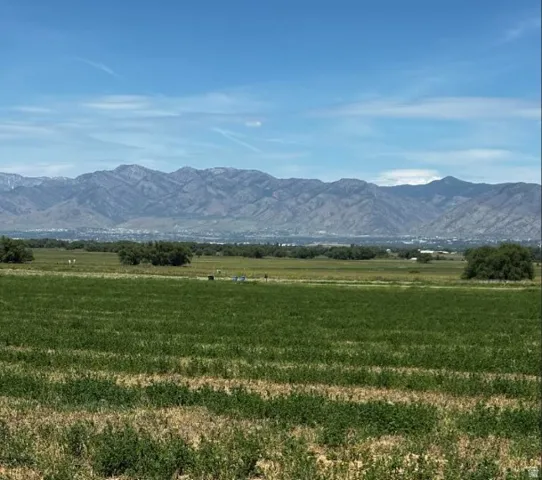 Expansive cultivated fields framed by a distant mountain range and a clear blue sky