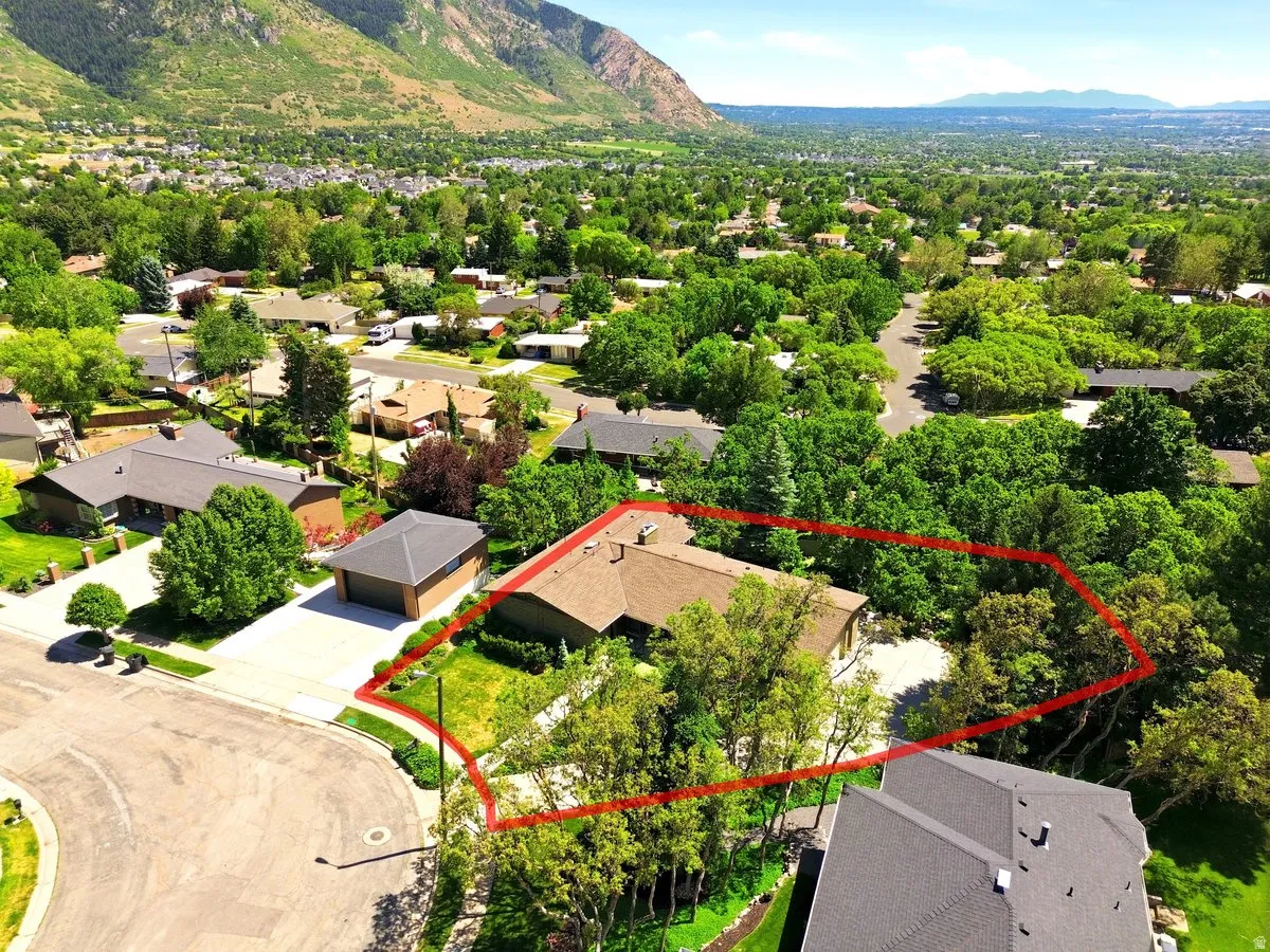 Expansive property featuring a mature treed landscape, a paved driveway, and a two-car detached garage