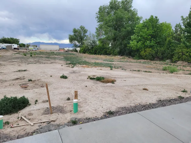 Expansive lot featuring a concrete border, mature perimeter trees, and visible utility stub-outs
