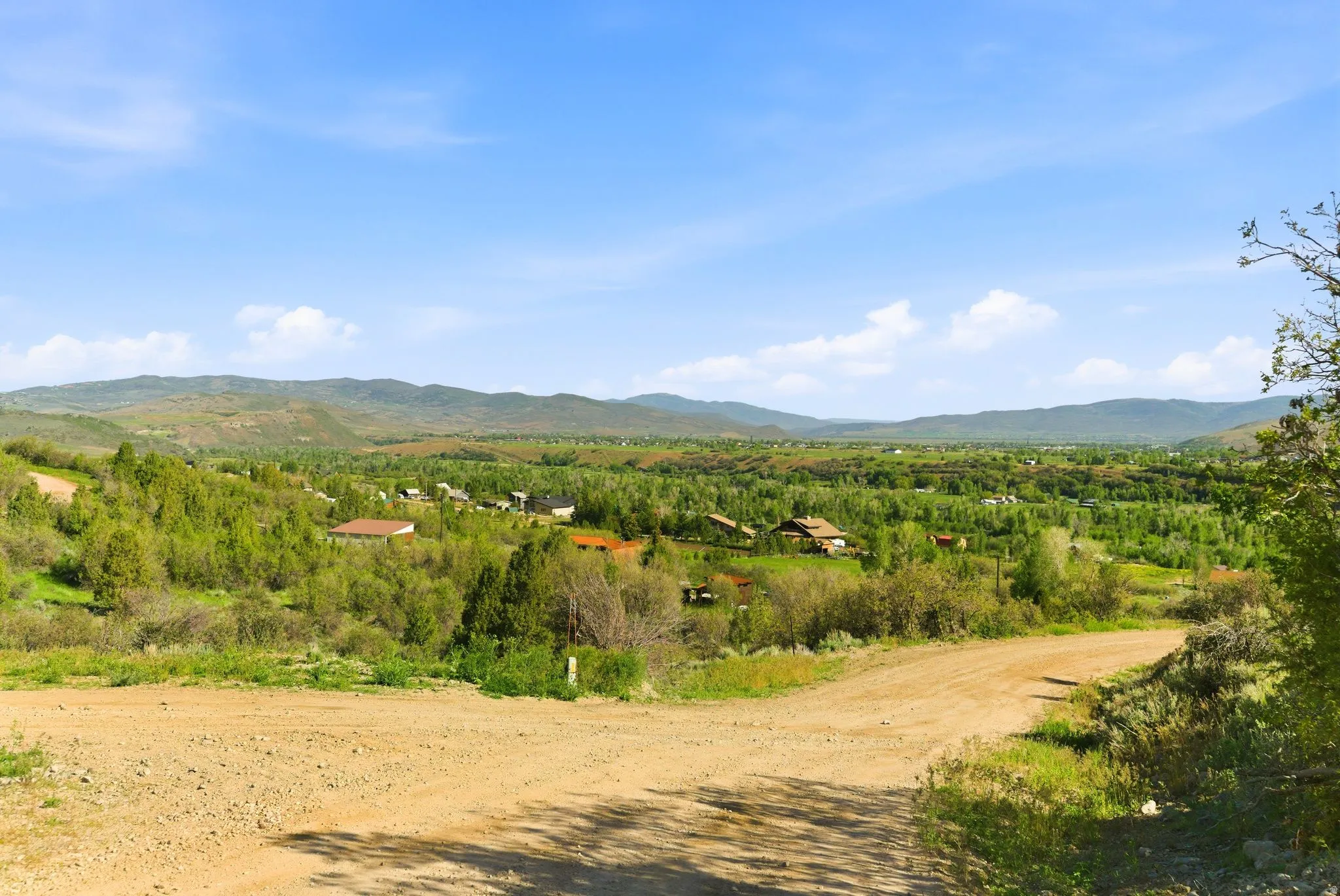 Expansive land parcel featuring a dirt road and abundant natural vegetation