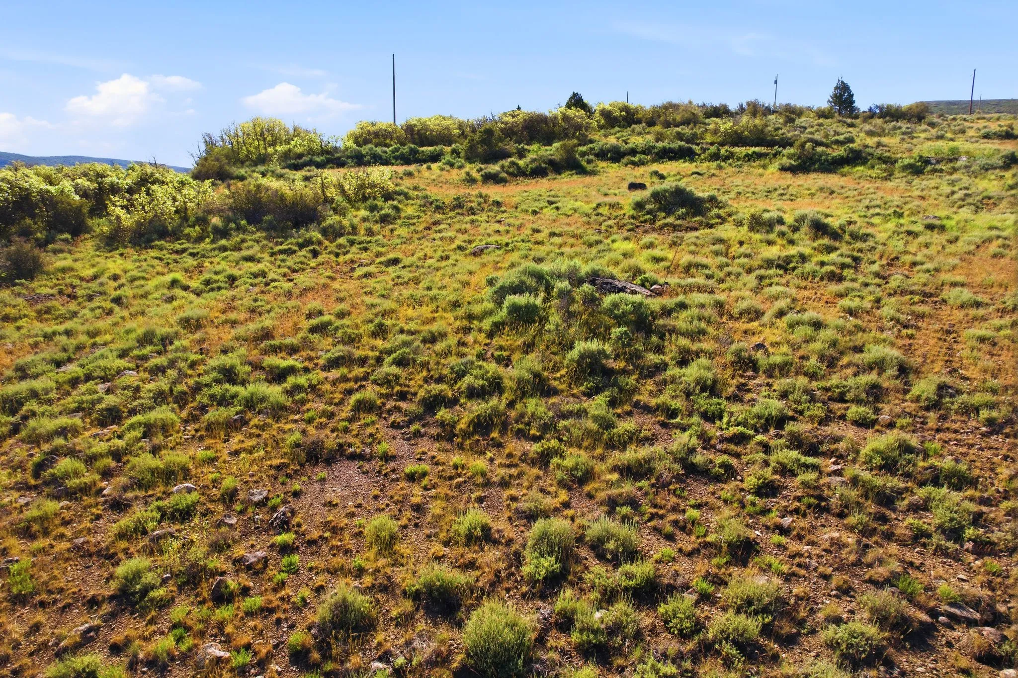Expansive terrain featuring varied vegetation and open space