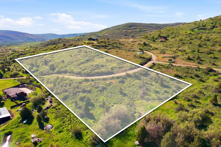 Expansive undeveloped lot featuring varied topography and natural vegetation