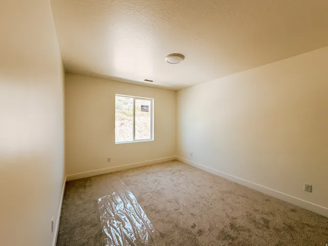 Neutral wall paint, carpet flooring, a window, and a flush-mount ceiling light