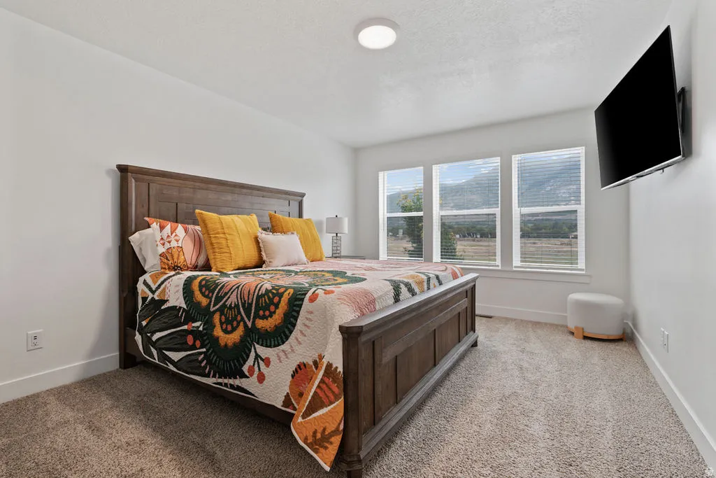 Bright room featuring three windows with blinds, a wall-mounted television, and neutral carpeting