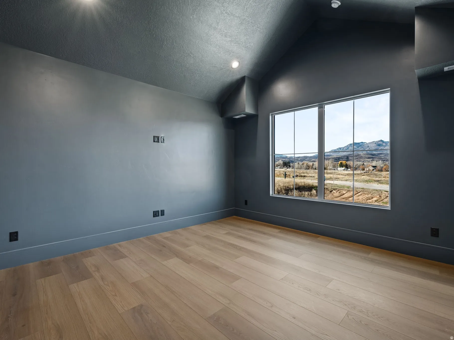 Spacious room featuring wood-finish flooring and dark gray walls
