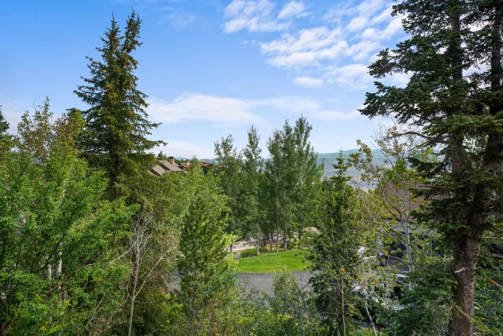 Expansive mountain landscape with diverse evergreen and deciduous trees