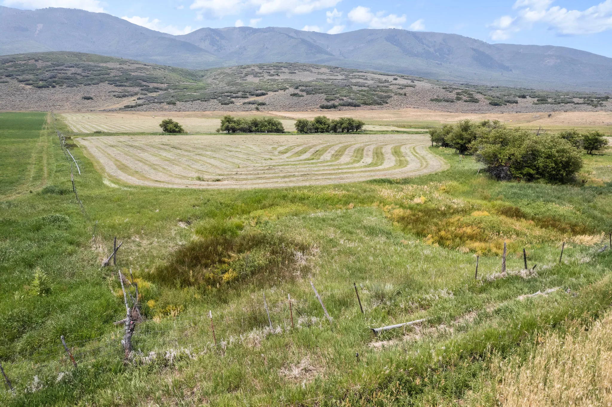 Expansive agricultural land featuring a partially harvested field and varied natural vegetation