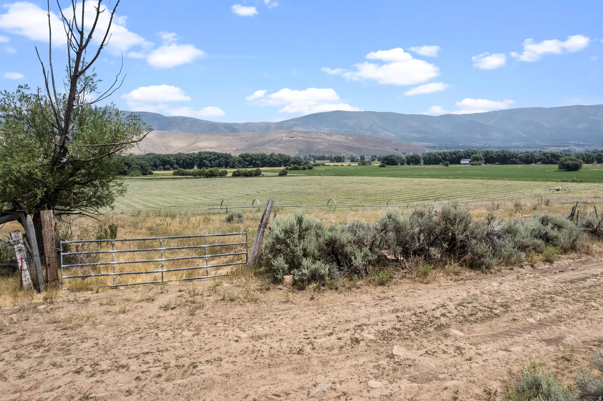 Expansive landscape featuring open fields and distant mountains