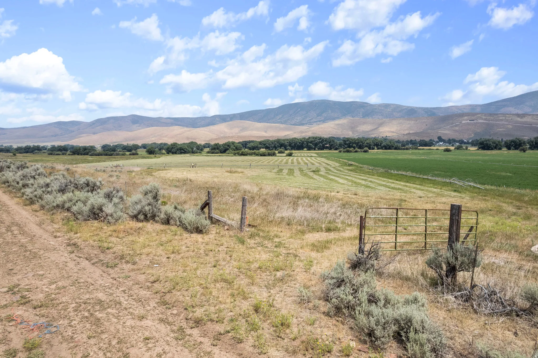 Expansive rural landscape featuring a dirt track, a metal gate, and natural shrubbery