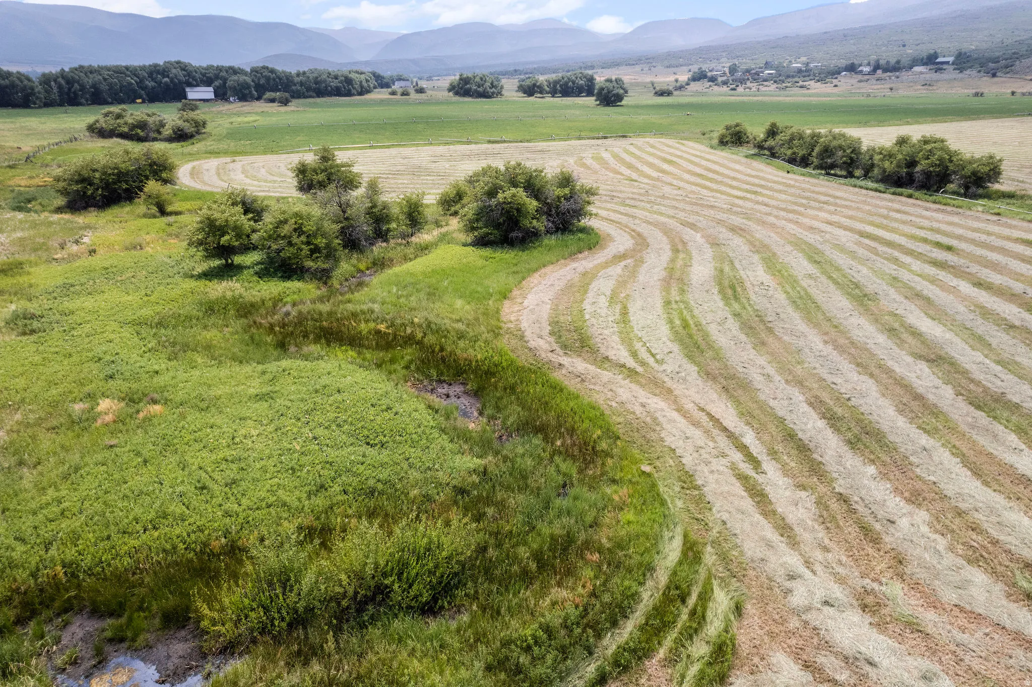 Expansive agricultural fields featuring distinct mowed patterns, mature green trees, and natural vegetation