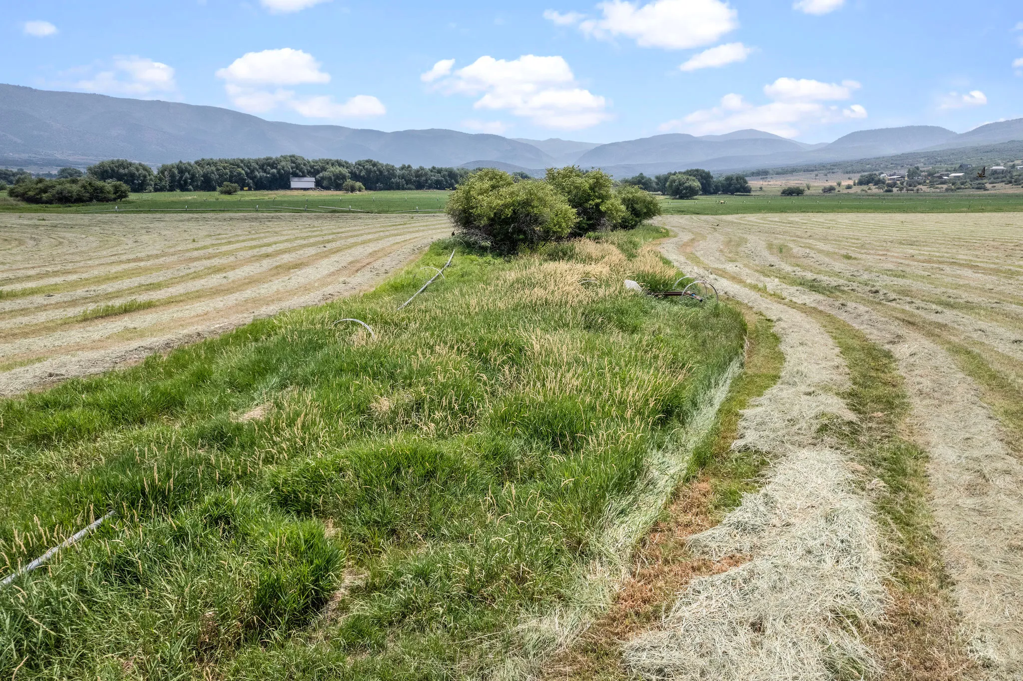 Expansive agricultural land featuring recently mown fields and mature perimeter trees