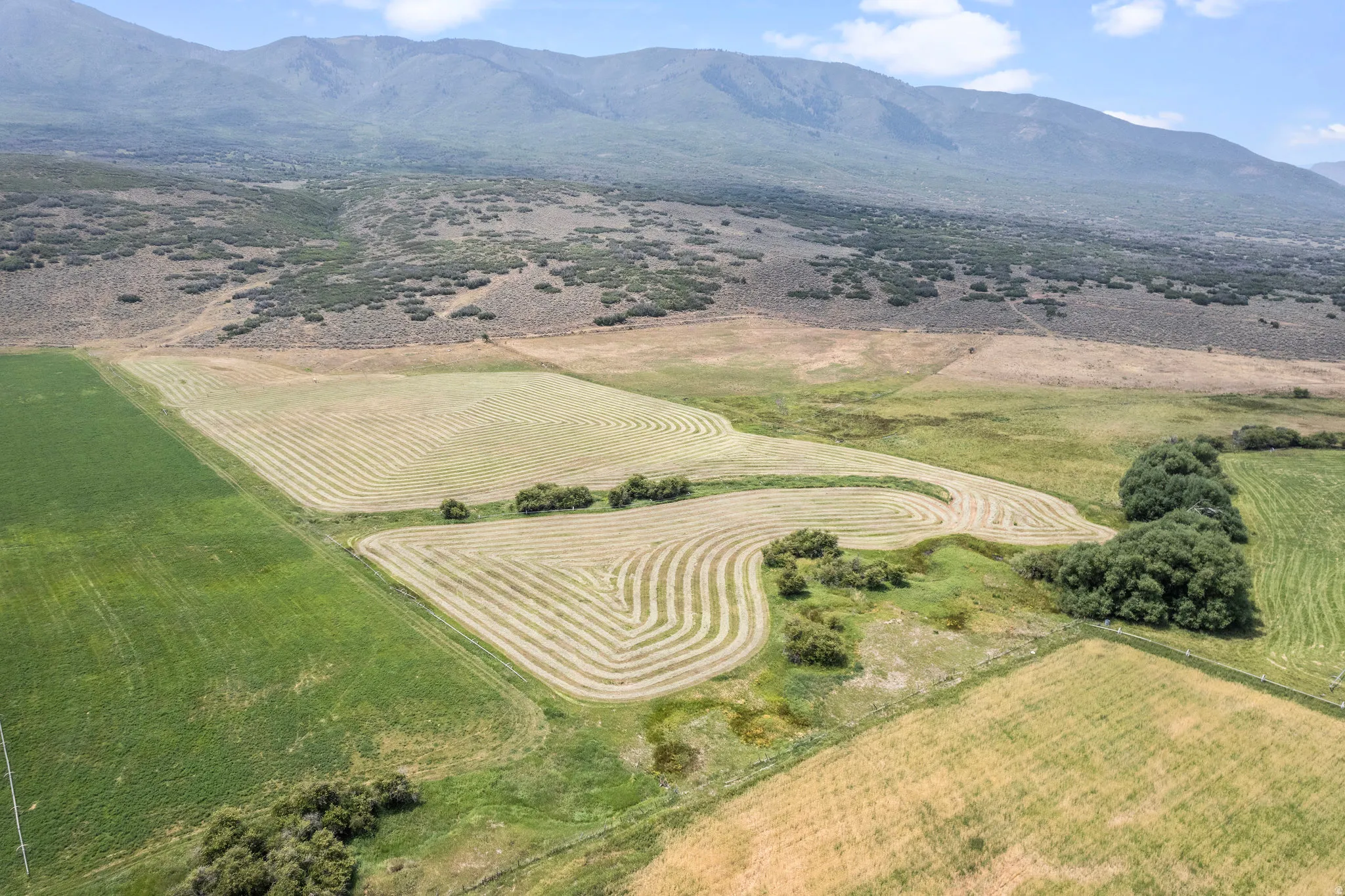 Expansive agricultural land featuring cultivated fields, natural foliage, and distant mountains