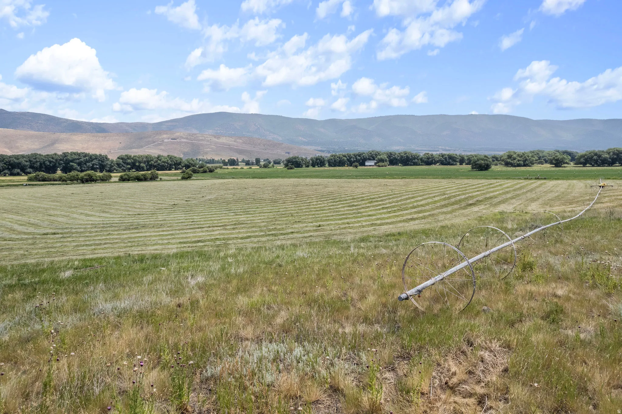 Expansive open fields with a distant mountain backdrop