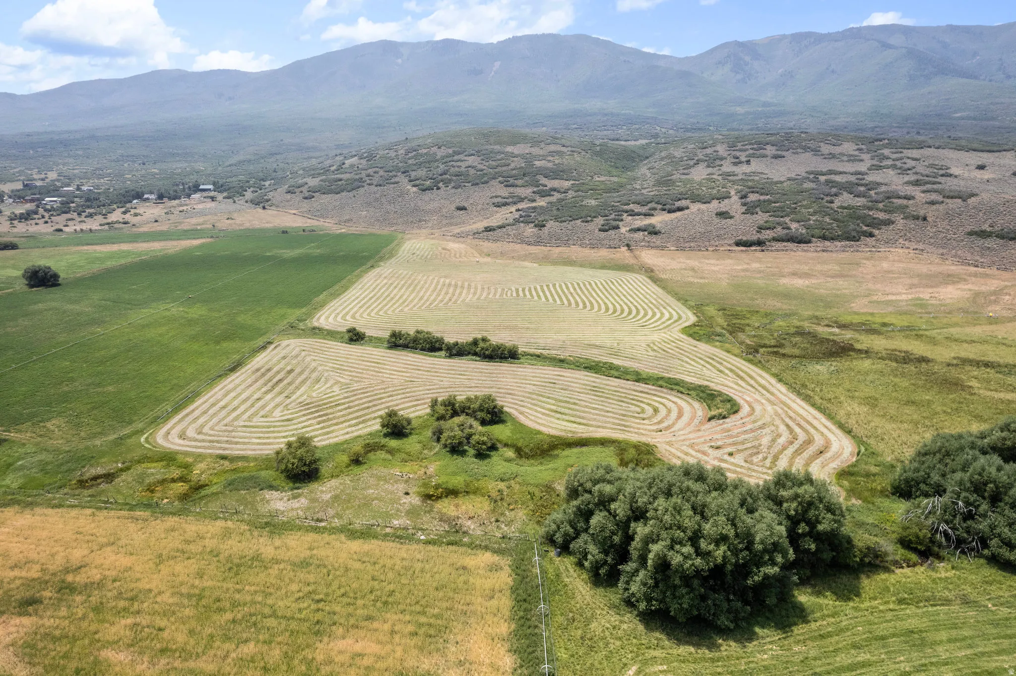 Expansive agricultural land featuring a verdant field and a field with fresh hay rows