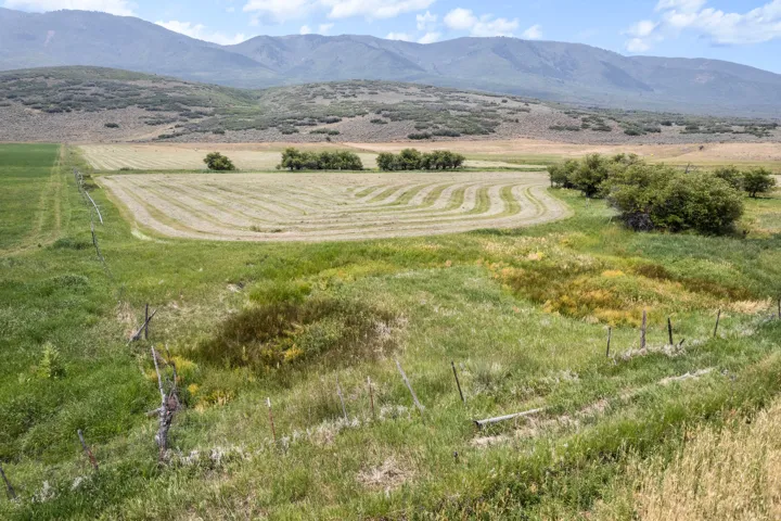 Expansive agricultural land featuring a partially harvested field and varied natural vegetation