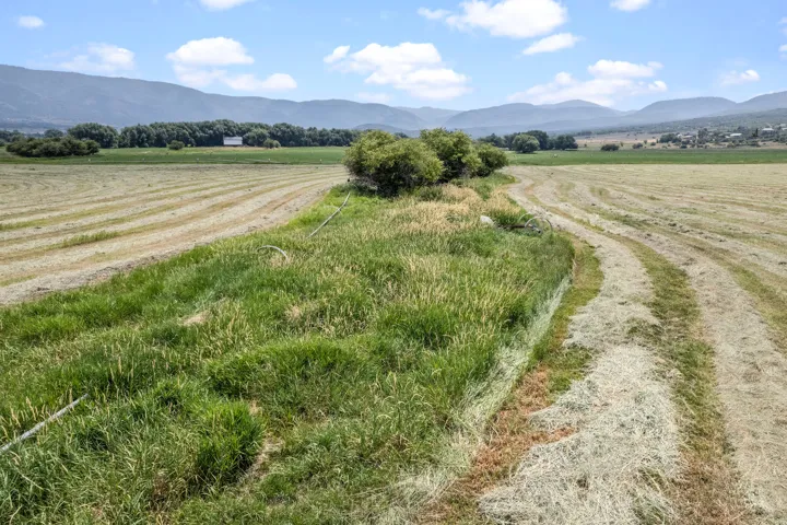 Expansive agricultural land featuring recently mown fields and mature perimeter trees