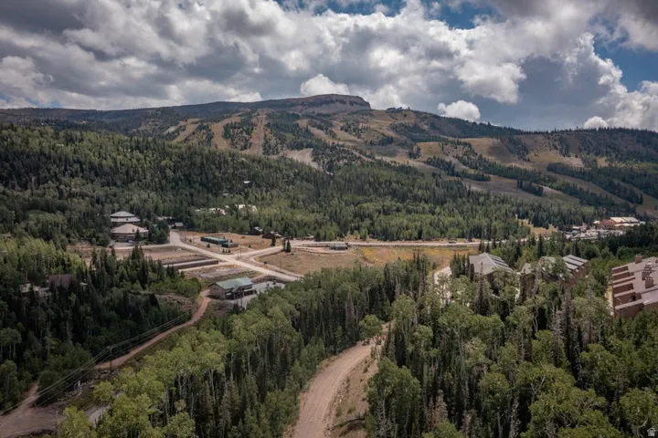 Mountain landscape featuring extensive evergreen forests and distant ski slopes