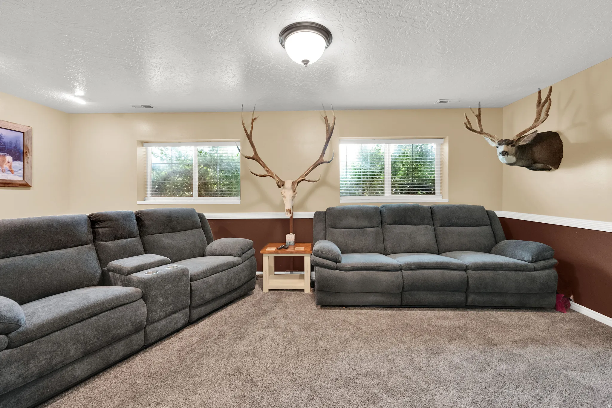 Basement living room