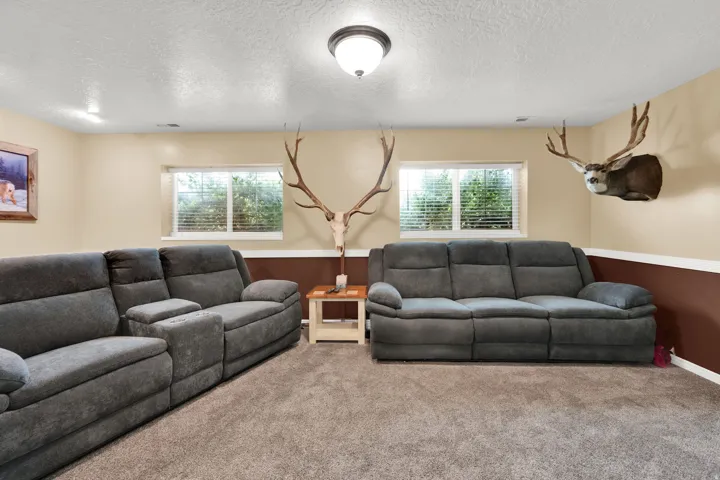 Basement living room