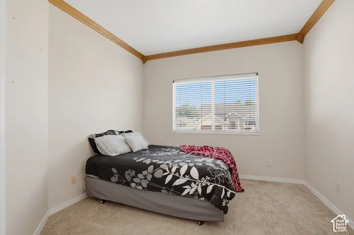 Room featuring light neutral wall paint, crown molding, a window with blinds, and beige carpet flooring