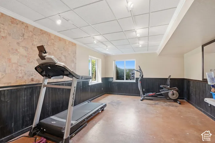 Spacious room featuring a drop-tile ceiling with track lighting, two windows, two-tone walls with dark wainscoting, and concrete flooring