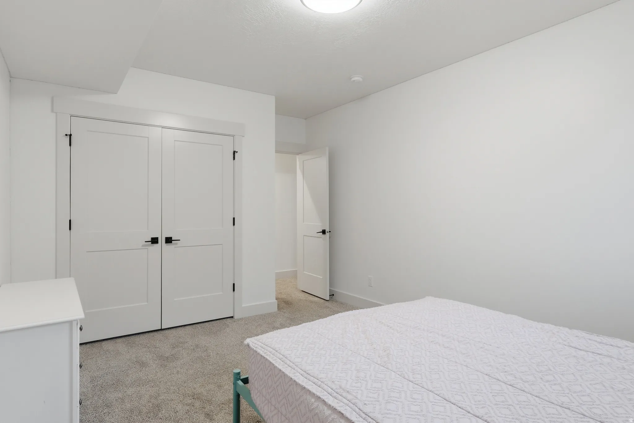 #6 White interior featuring a double-door closet with black hardware, neutral carpeting, white baseboards, and a flush mount ceiling light