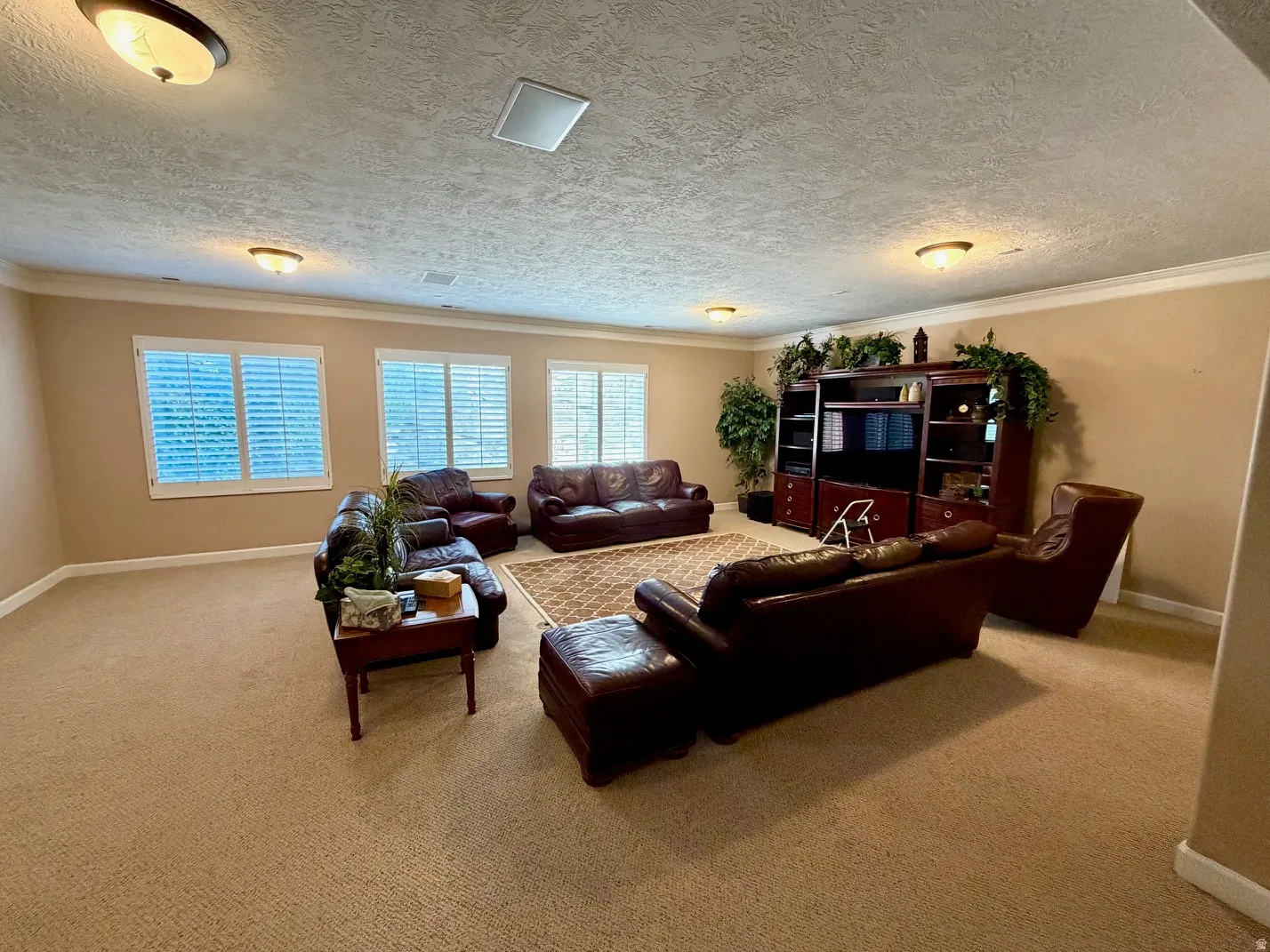 Spacious room featuring neutral carpeting, light-toned walls, and multiple windows with plantation shutters