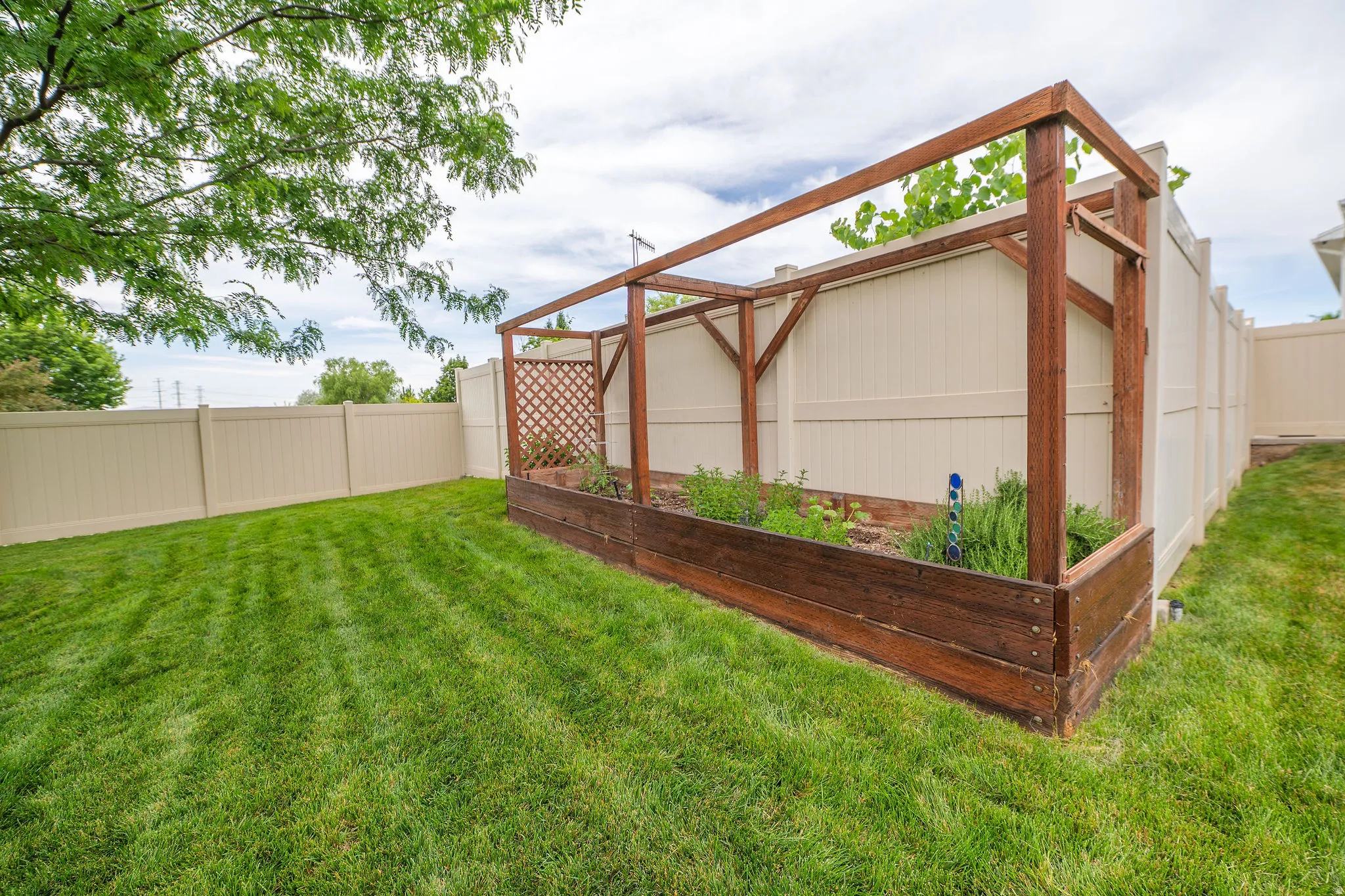 Expansive backyard featuring a manicured lawn and a substantial raised garden bed with an integrated wood-frame trellis