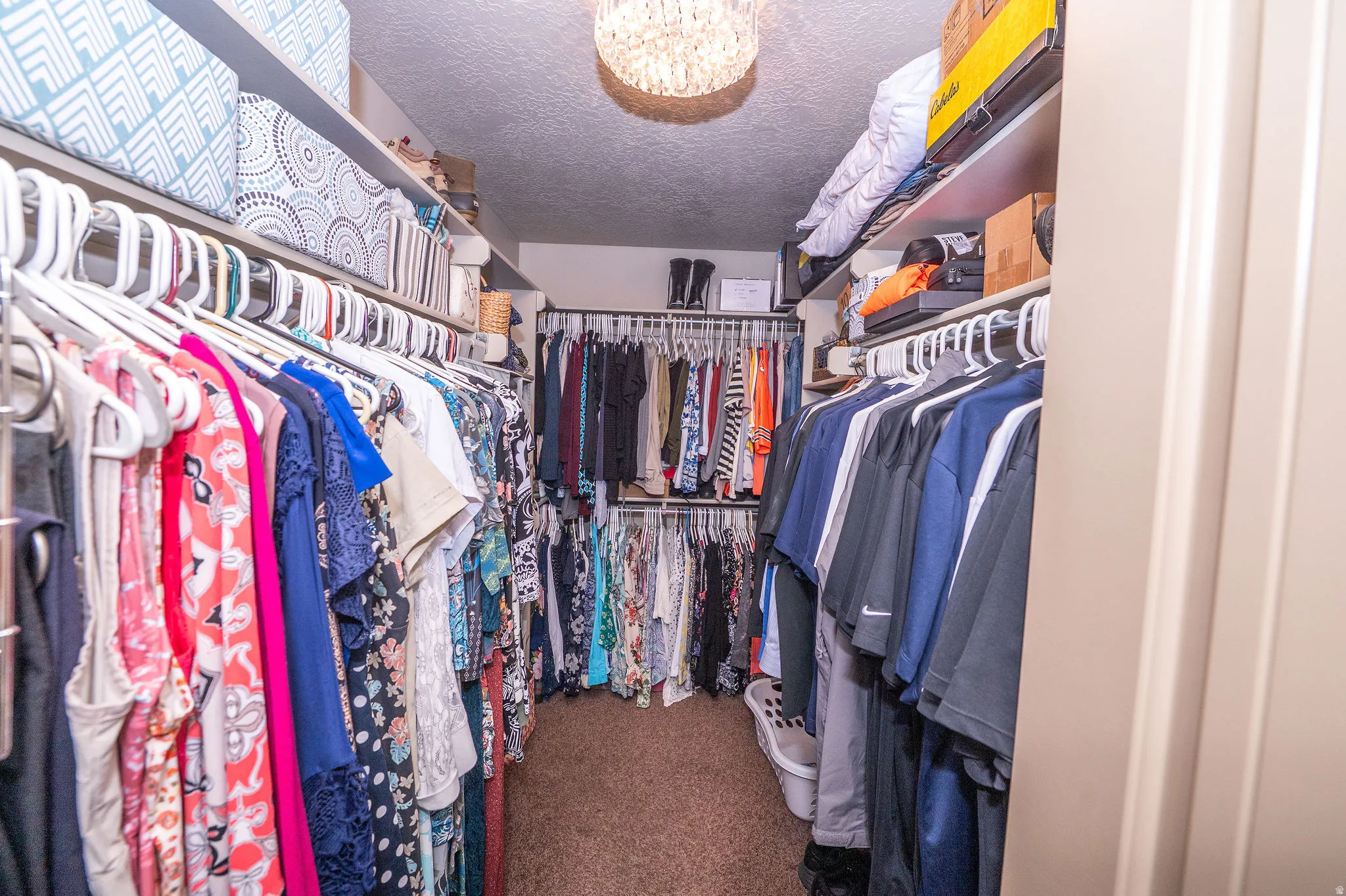 Expansive walk-in closet featuring multiple shelving units and clothing rods
