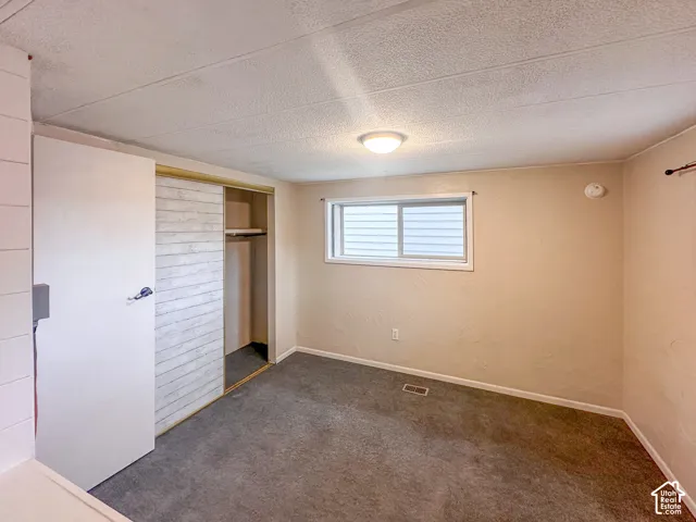 Carpeted room featuring a built-in closet with sliding doors, a horizontal window with blinds, and a flush-mount ceiling light fixture