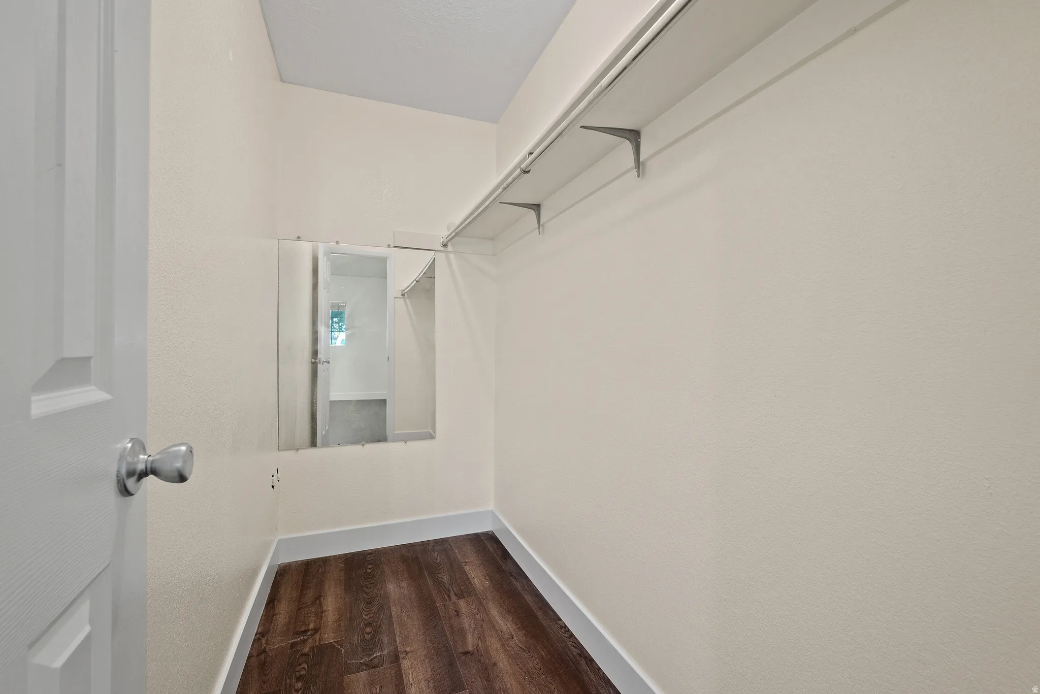 Walk-in closet featuring wood-finish flooring, light-toned walls, built-in shelving, and a wall-mounted mirror