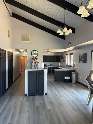 Vaulted ceiling with exposed black beams and white paneling