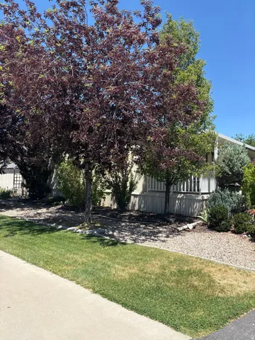 Exterior featuring mature trees, landscaped shrubbery, a gravel bed, and a green lawn, with a light-colored property exterior and white porch railings visible