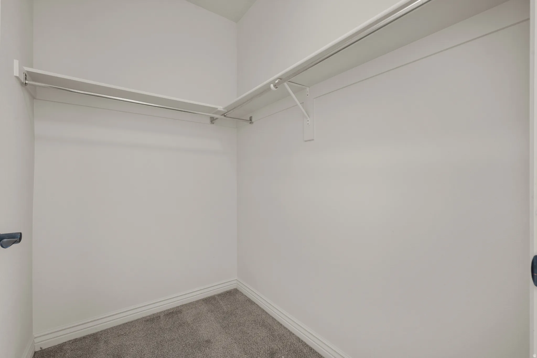 Built-in shelving and hanging rods provide organizational solutions within this carpeted closet space