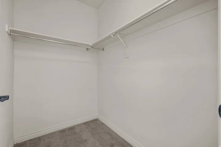 Built-in shelving and hanging rods provide organizational solutions within this carpeted closet space
