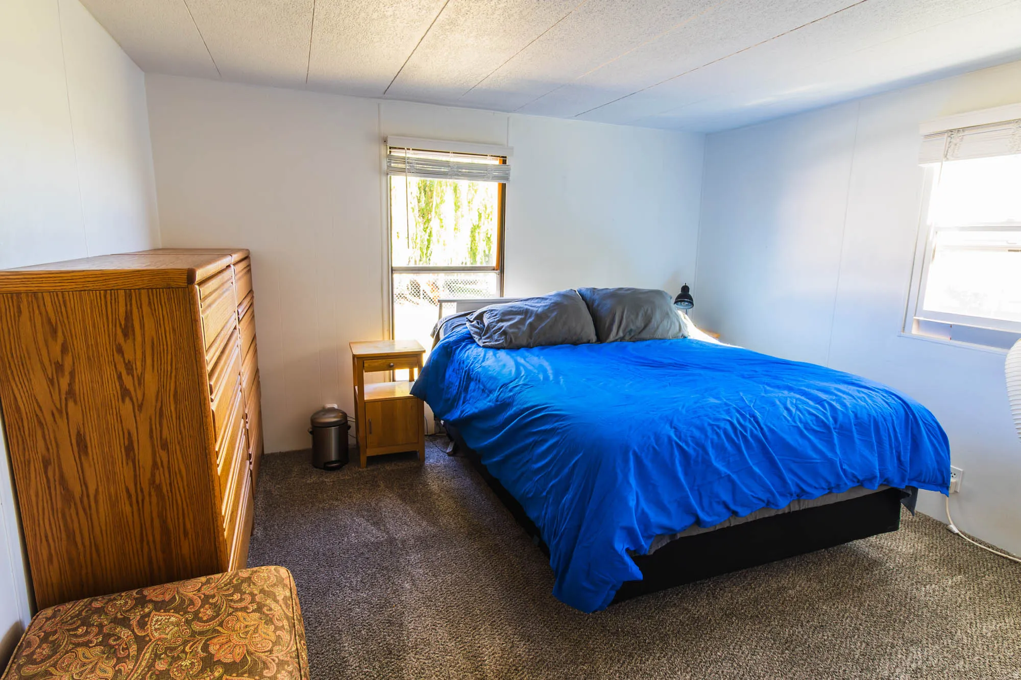 Carpeted bedroom featuring white walls, a large window with horizontal blinds, and a secondary window
