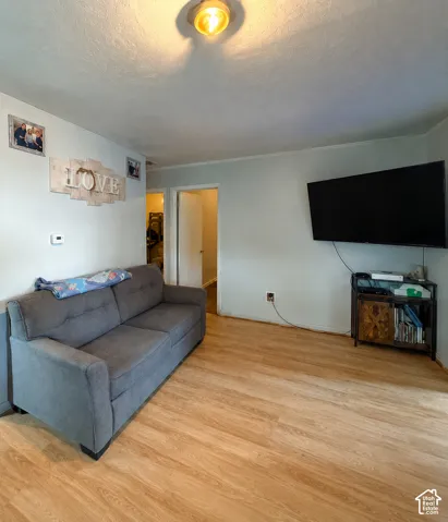 Light-toned wood-finish flooring complements the neutral wall color in this interior space