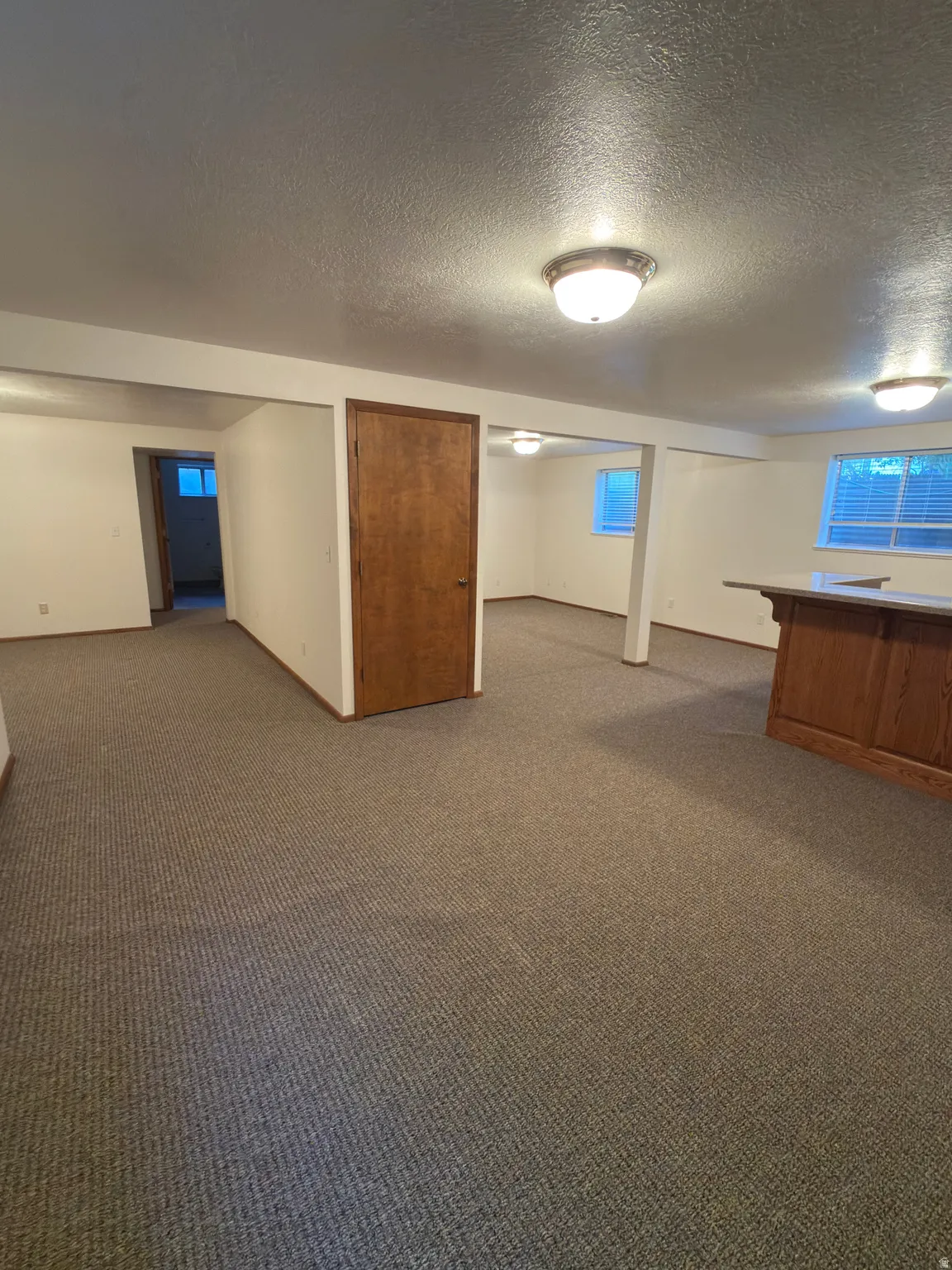 Expansive lower level with textured carpeting and recessed ceiling lighting