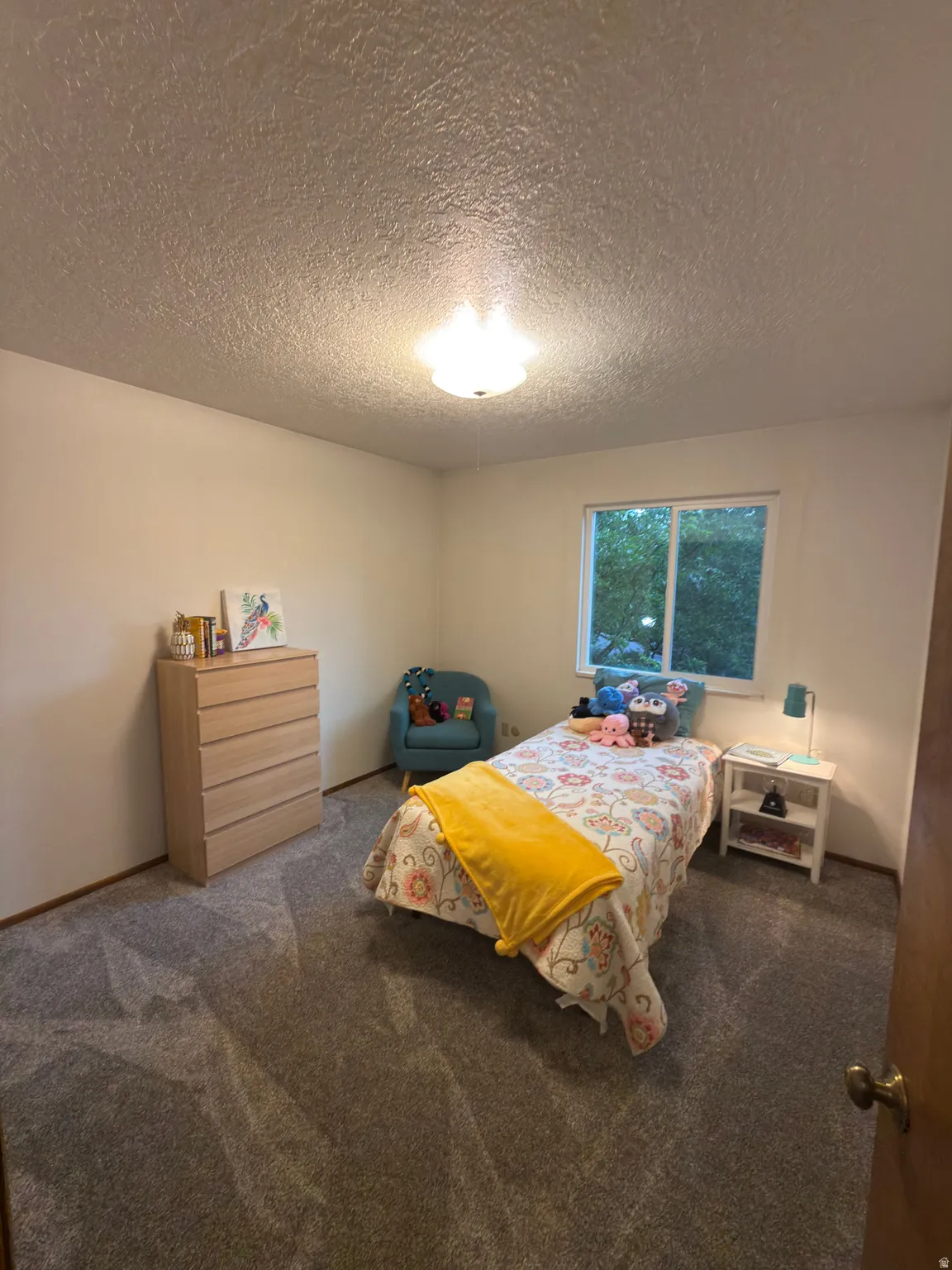Carpeted room featuring a single window and a ceiling-mounted light fixture