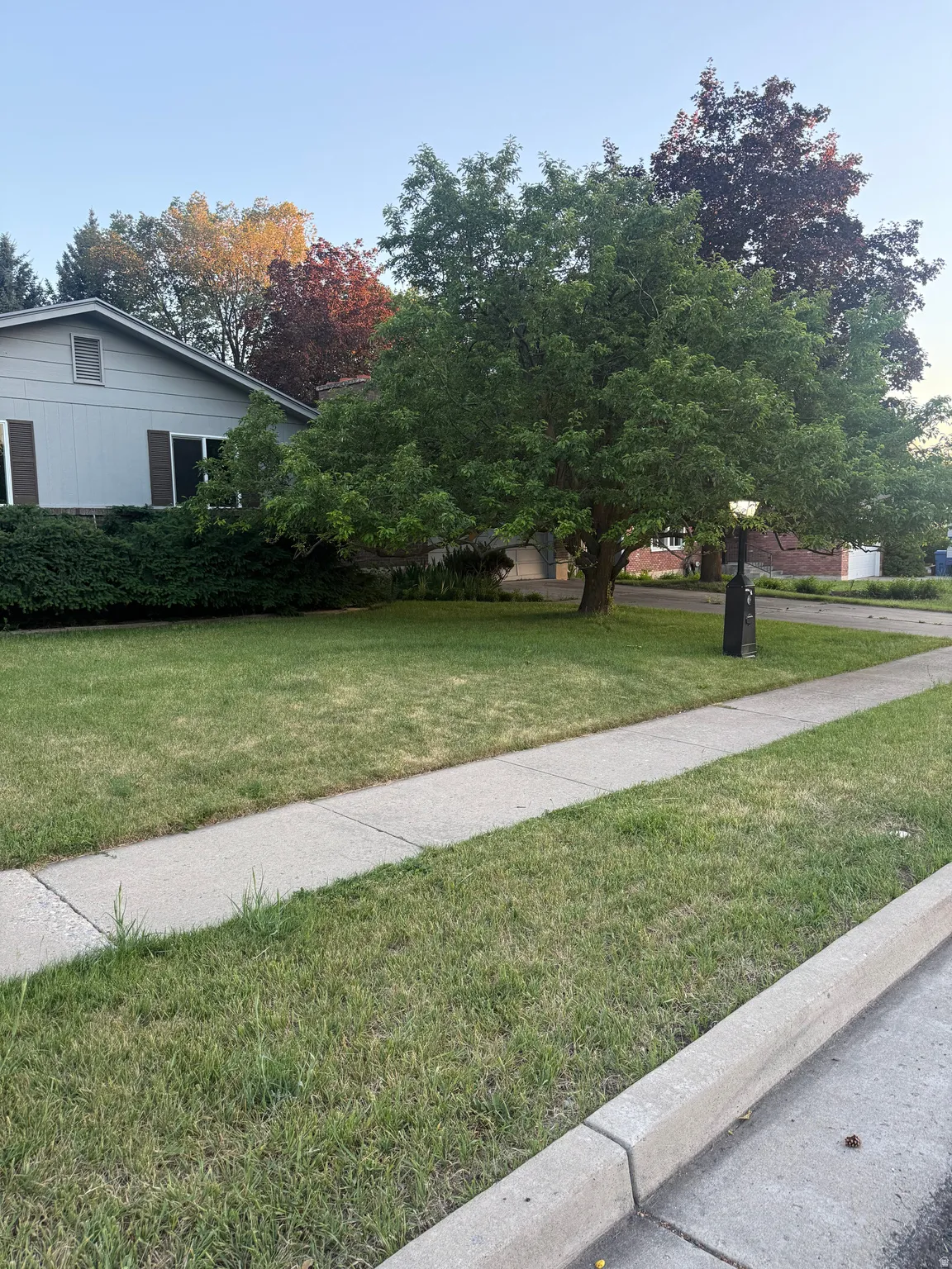 Expansive front lawn with mature trees and established landscaping